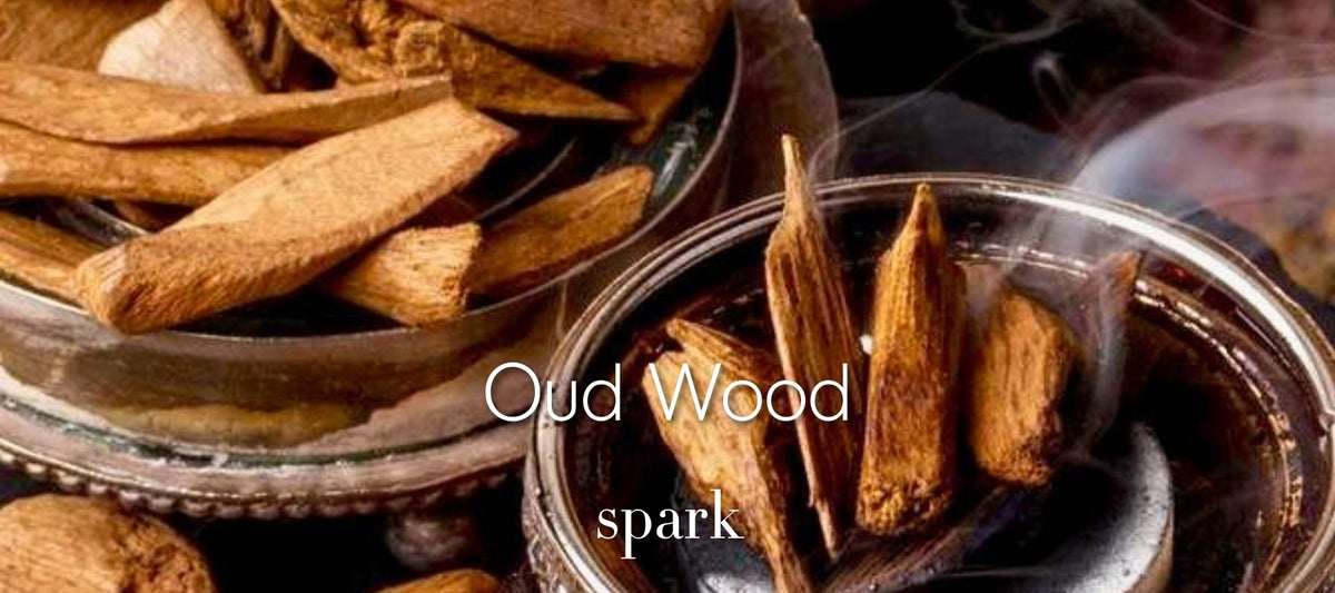 Oud Wood Scented Soy Candles Spark Candles